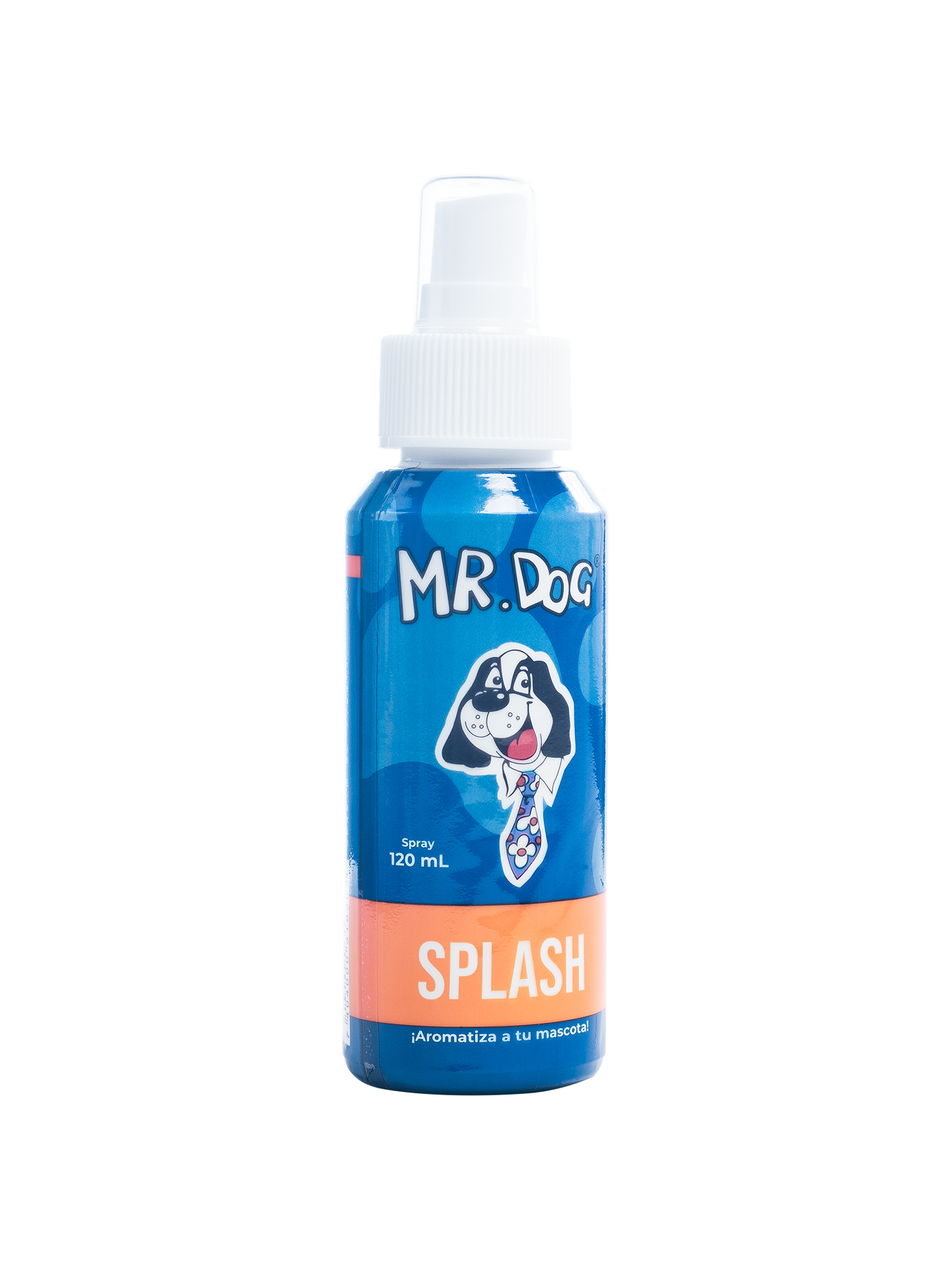 Mr.Dog Splash
