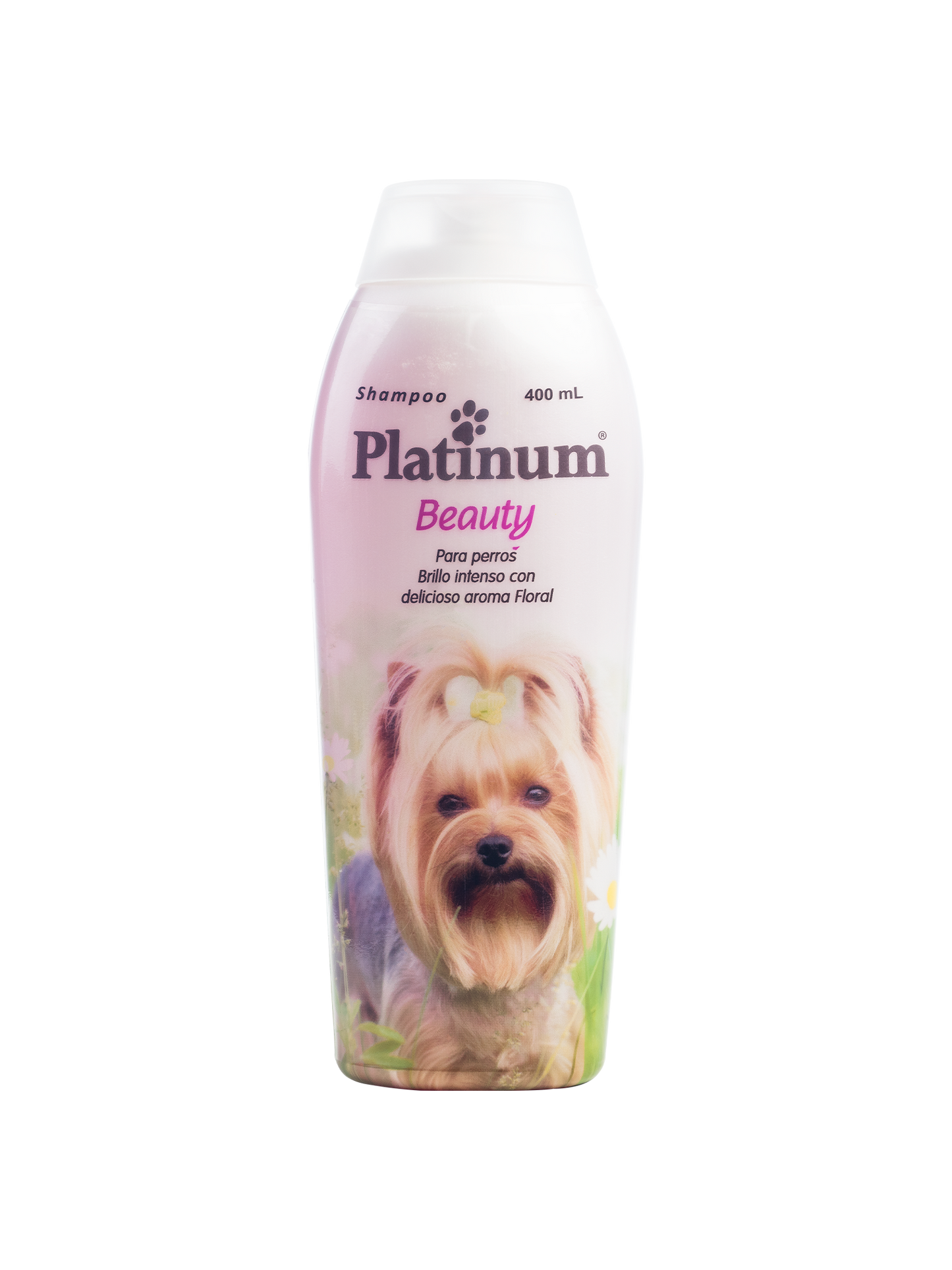 Shampoo Platinum Beauty
