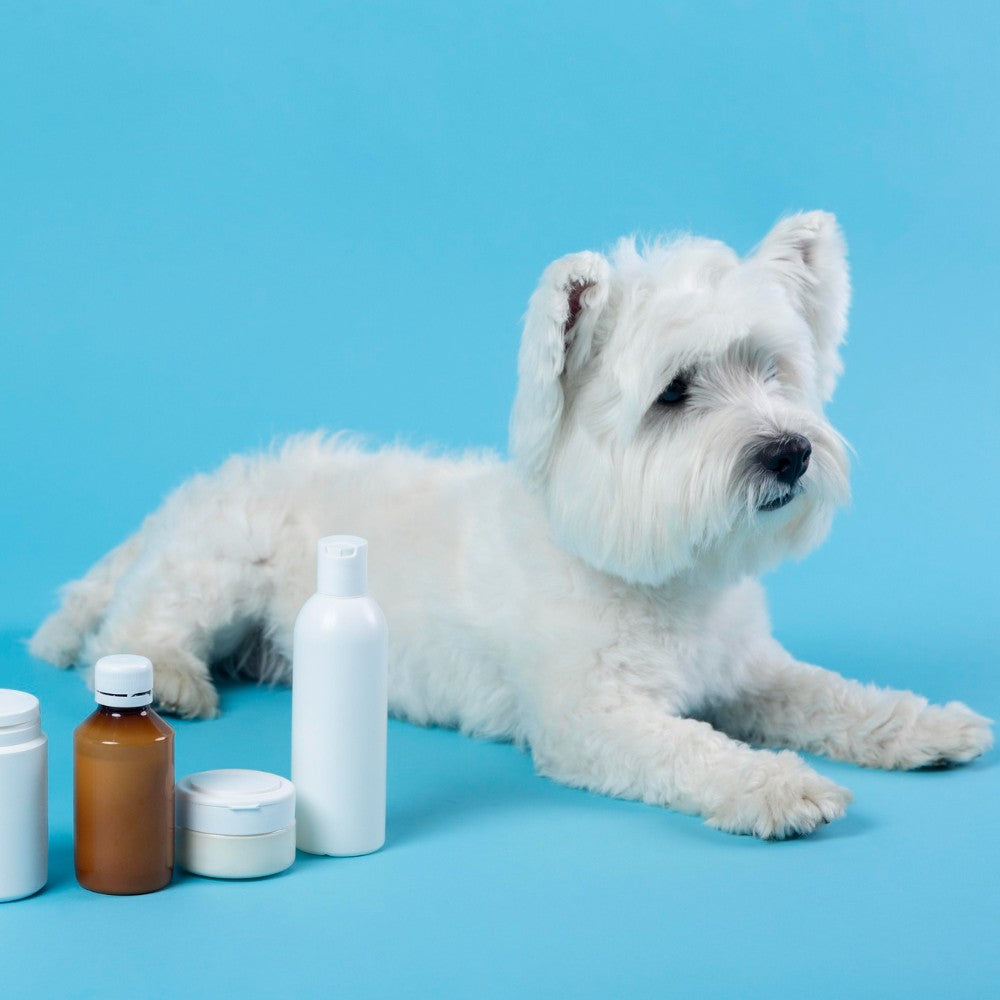 Medicamentos para perro