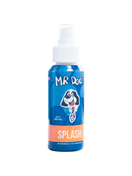 Mr.Dog Splash